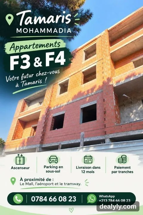 Appartement F3 à vendre - 1