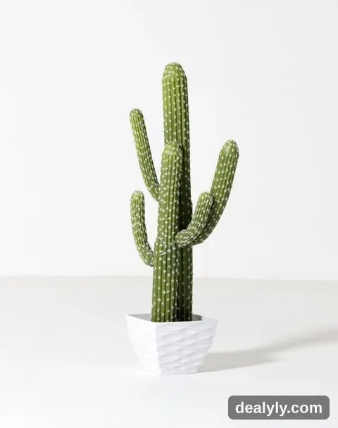 Cactus from green house - 1