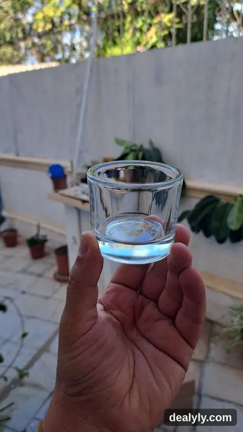 Disponible des verre a eau et des vérines - 1
