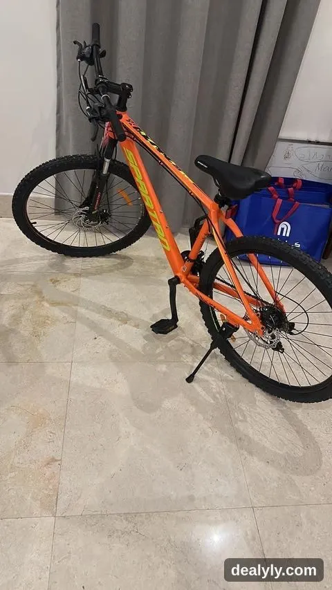 spartan bicycle — like new - 1